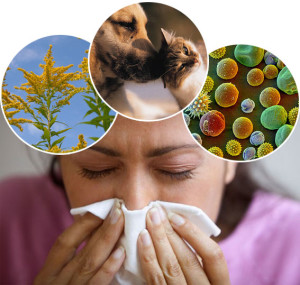 Types of Allergies